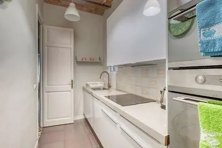 Отель Apartamento Calle Mallorca Aribau Барселона 0*,  Испания